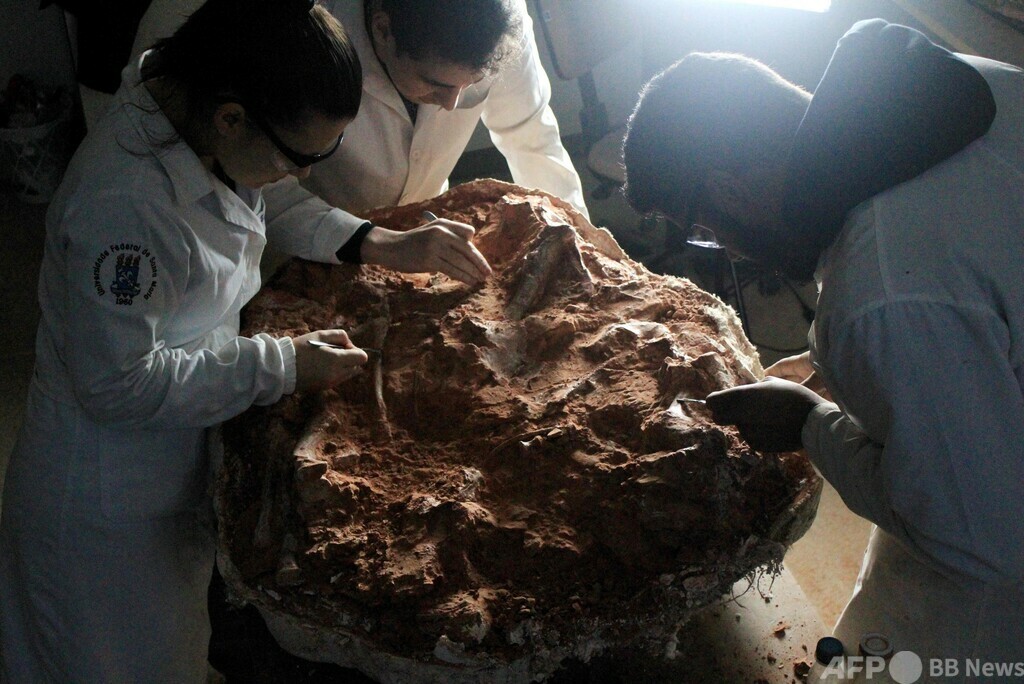 ブラジルの洪水で最古の恐竜の骨格が見つかる