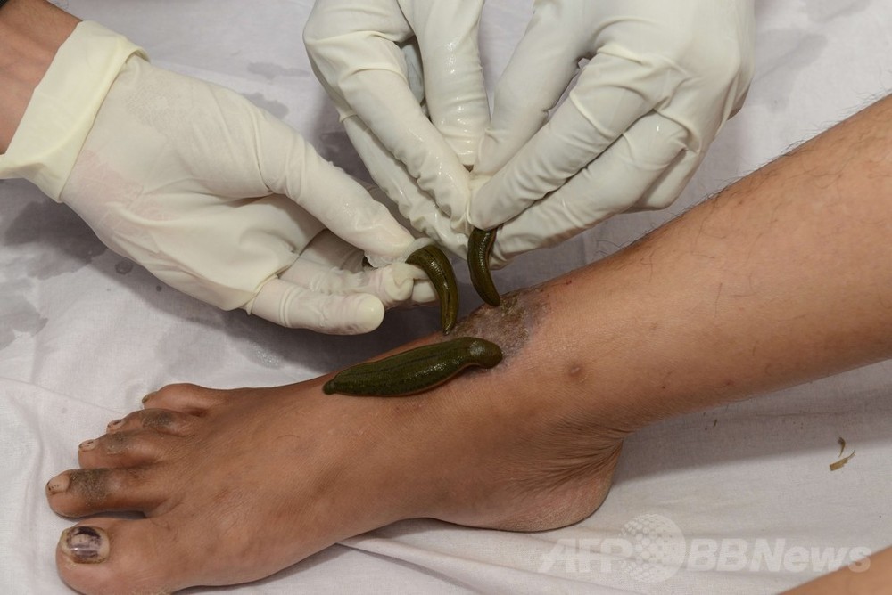 Images Of ヒル Japaneseclass Jp