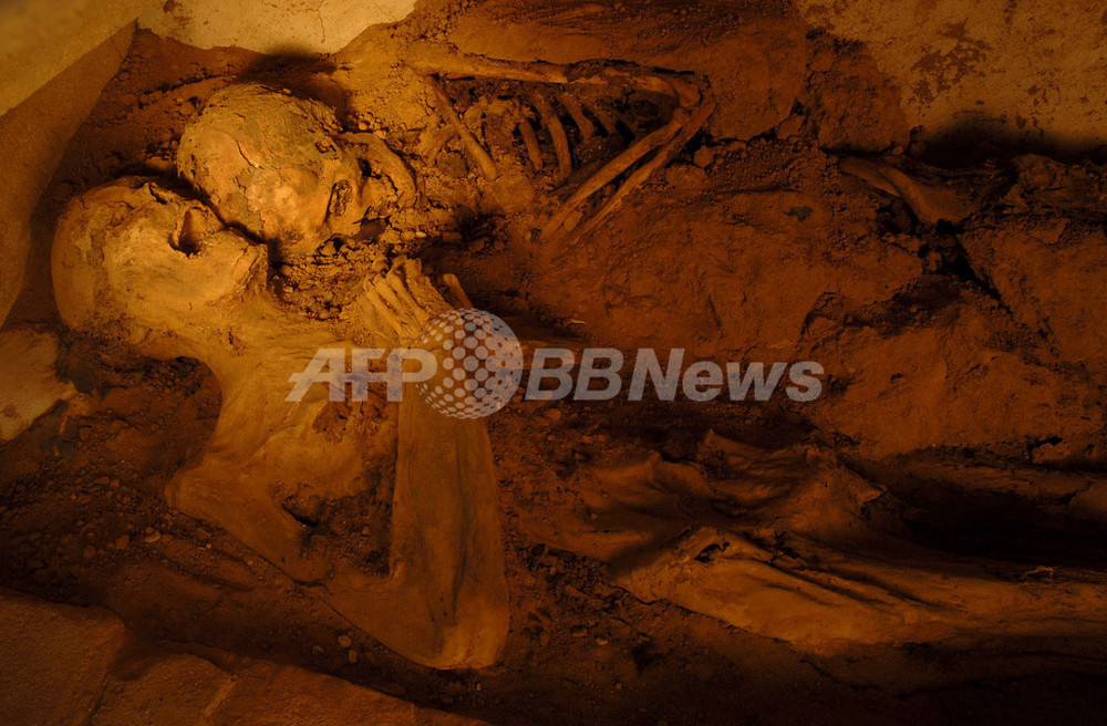 ブラジルの修道院からミイラ化した尼僧の遺体 写真5枚 国際ニュース Afpbb News
