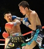 ボクシング、WBA世界スーパーフェザー級タイトルマッチ12回戦。金子大樹（Daiki Kaneko、右）と対戦する内山高志（Takashi Uchiyama、2013年12月31日撮影）。(c)AFP/Toru YAMANAKA