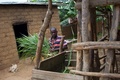 ルワンダの東部州（Eastern Province）ムビョ（Mbyo）村で、自宅の牛小屋に草を運ぶフレデリック・カジグウェモ（Frederic Kazigwemo）さん。フレデリックさんは1994年の大虐殺の際、他の男たちとともに7人を殺害した。刑務所での数年間の服役を終えたフレデリックさんは現在、自分が殺した人物の遺族であるセシル・ムカガサナ（Cecile Mukagasana）さん（フレーム外）宅の隣の家に住んでいる。この村は大虐殺後の和解を促進するため、加害者と被害者の家が隣り合うように作られた（2014年3月12日撮影）。(c)AFP/PHIL MOORE