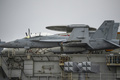 フィリピン・マニラ沖に停泊している米空母「ロナルド・レーガン」に駐機中の電子戦機EA18G「グラウラー」（2019年8月7日撮影、資料写真）。(c)TED ALJIBE / AFP