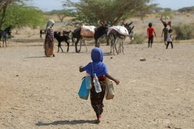 米援助削減でイエメンに人道危機拡大の懸念 アムネスティ