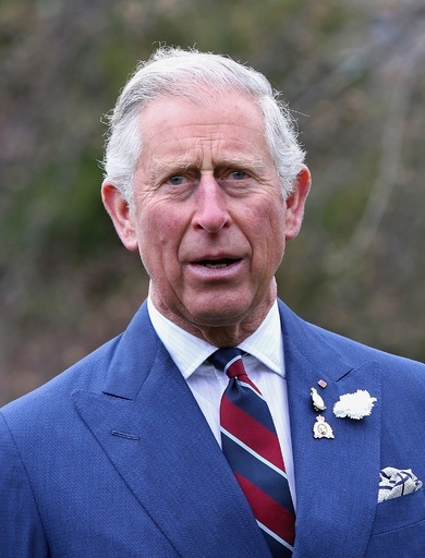 英皇太子「プーチンはヒトラーと同じ」発言にロシア猛抗議