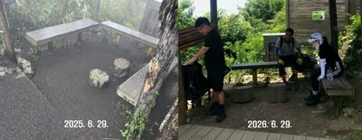 韓国の「夏の厄介者」、大量発生の山が一転平穏に…粘着トラップなど自治体の防除奏功