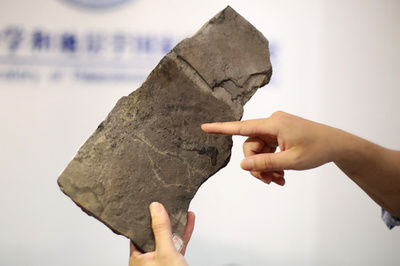 中・米の科学者グループ、最古の動物の足跡を発見