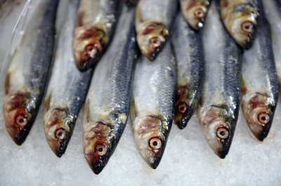 ボツリヌス症で女性死亡、瓶詰めイワシ原因か 仏