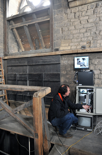 欧州首都の空を舞うハヤブサ、住まいは大聖堂！