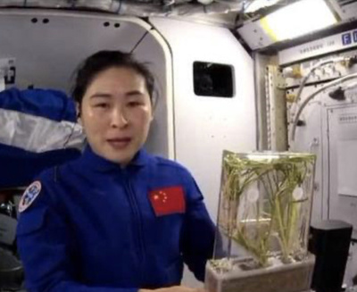 中国の宇宙ステーションで稲が出穂