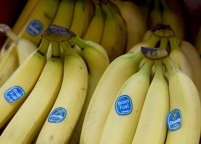 バナナでコカイン密輸、オランダ当局が4人逮捕