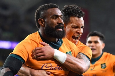 コロインベテがワイルドナイツ加入 豪代表での活動は不透明に