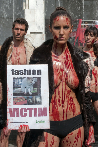 「アニマ・ナチュラリス」が毛皮に抗議、メキシコ