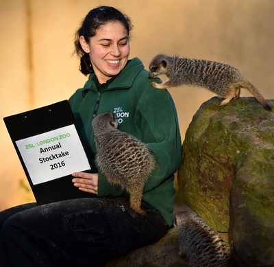全部で何匹？ロンドン動物園で恒例の個体数調査