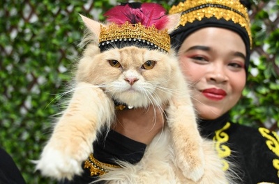 華やかな衣装で登場 インドネシアでネコのファッションショー