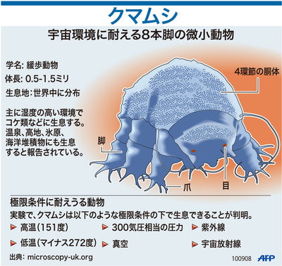 微小動物「クマムシ」、宇宙空間で生き延びた