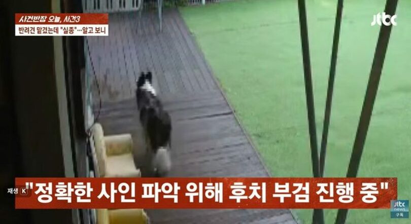 JTBC「事件班長」放送画面キャプチャ(c)NEWSIS