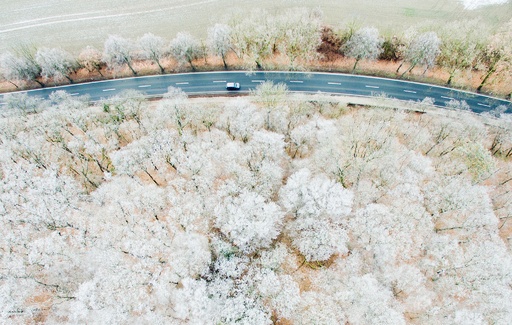 幻想的な雪の世界 ドイツ マリエンブルク城 写真4枚 国際ニュース Afpbb News