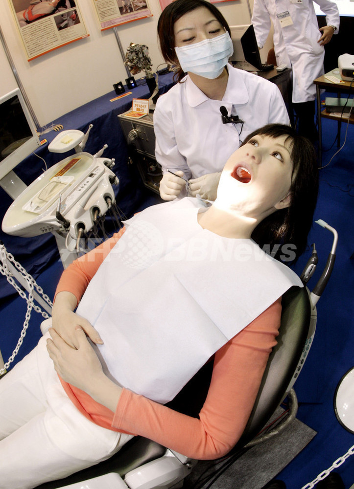 歯科 実習用マネキン ファントム