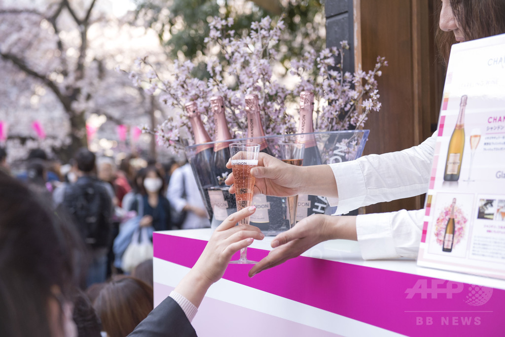 「お花見 シャンドン」ポップアップバーが出現！