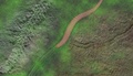 蠕虫（ぜんちゅう）様動物「Yilingia spiciformis」の想像図。バージニア工科大学提供（2019年9月4日提供）。(c)AFP PHOTO/ VIRGINIA TECH/ SHUHAI XIAO/ ZHE CHEN