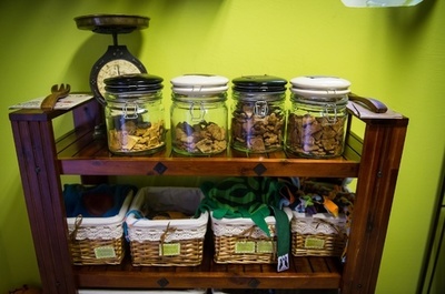 記者の夢破れ「犬のパン屋さん」起業、就職難の街で成功した若者