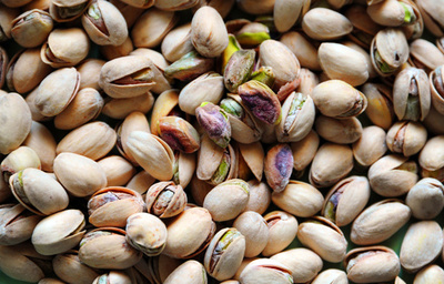 ピスタチオが新エネルギー源？トルコの新環境都市計画