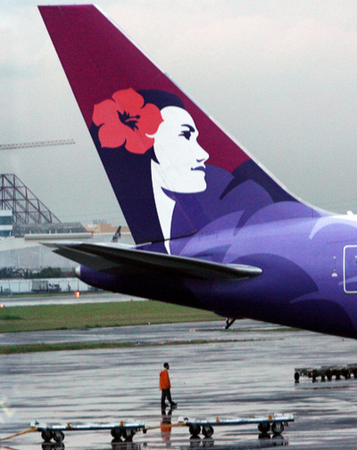 車輪格納庫で米加州からハワイに飛行 奇跡的に無事 16歳少年