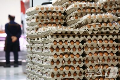 卵の価格は“談合”だったのか…韓国・公取委が産卵鶏協会に制裁検討へ