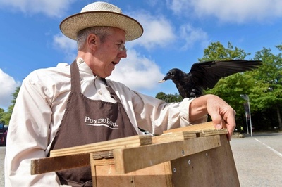 「カラス清掃員」勤務態度は良好？ せっせと吸い殻拾い 仏