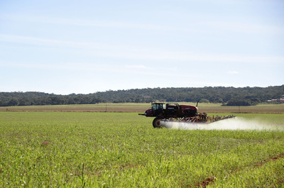 プーチン氏、ブラジルへの肥料輸出継続に「尽力」