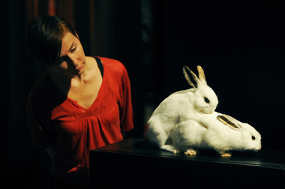 16歳以下はお断り、ロンドンで「動物のセックス」展