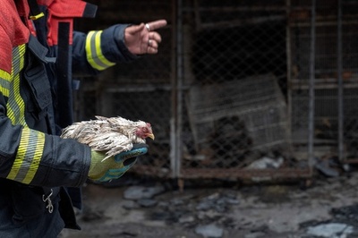 ペット市場で火災 100店以上に被害 タイ・バンコク