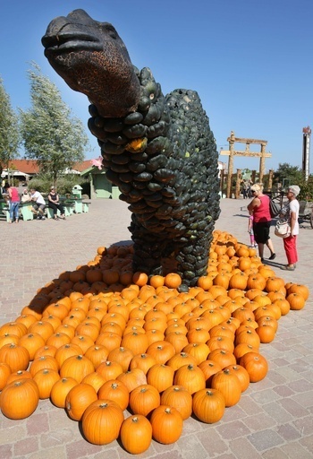 全長15メートル！2000個のカボチャでできた恐竜 独