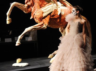 人体標本展でファッションショー、モデルには骸骨のようなメイク