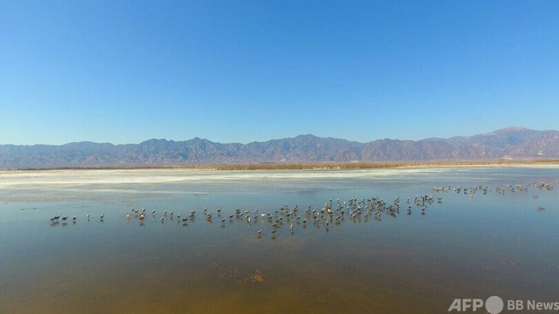 中国 ラムサール条約登録湿地が82カ所に