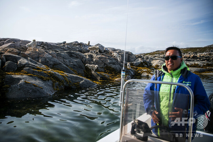 犬ぞり猟が消える？ 気候変動で伝統にも危機 グリーンランド