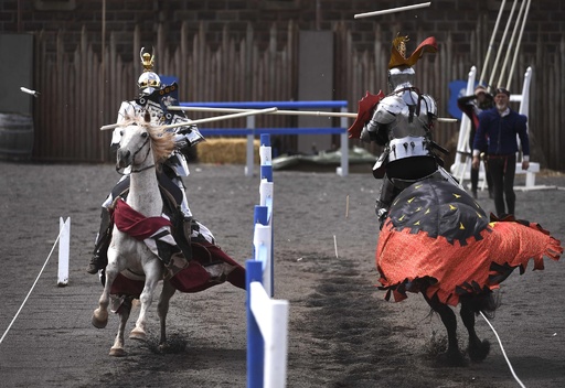 国際ニュース：AFPBB News【特集】ヤマアラシ丸のみからピザまで、驚きのヘビ写真集