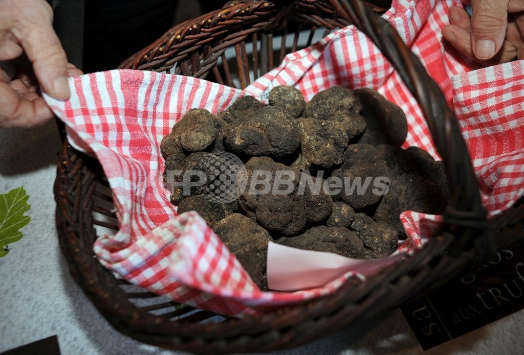 仏名産の高級トリュフ、不作の原因は気候変動 スイス研究 仏名産の高級トリュフ、不作の原因は気候変動 スイス研究