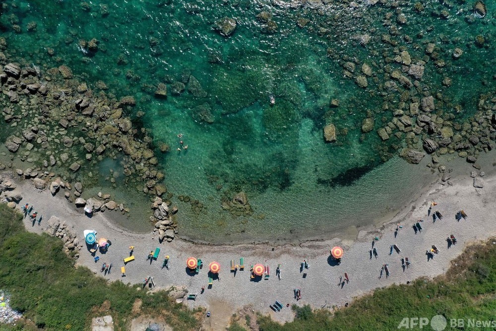 地中海の「海藻の森」の復元実験 アルバニア