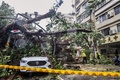 台風21号の被害を受けた台湾・花蓮県の様子。中央通信社（CNA）提供。（2024年10月31日撮影）。(c)CNA / AFP