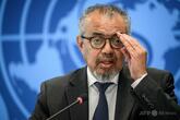 WHOのウクライナ倉庫に攻撃、事務局長が非難