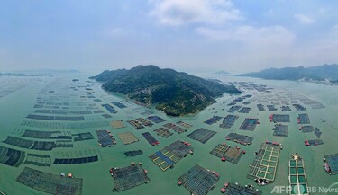 中国　置物　漁 中国福建省のマダイ漁が最盛期 スマートX線装置が刺身の「骨取り」担当