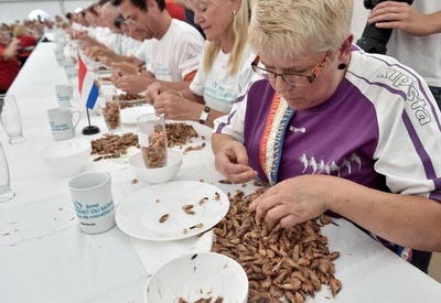 エビの殻むき大会、優勝は常連の強者女性 フランス