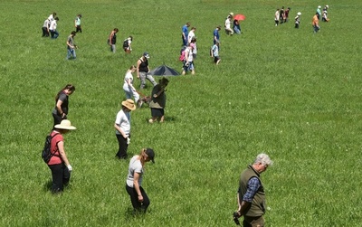 【今日の1枚】子鹿はどこだー？ 牧草地の人海戦術