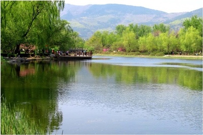 植物の宝庫をさらに輝かせる