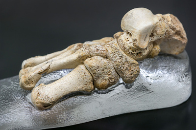 80万年前の古代人の足跡、英国で発見 研究