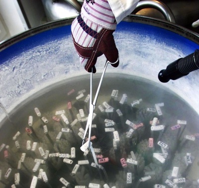 カナダ人医師、不妊治療に自分の精子など数十年にわたり使用 免許剥奪