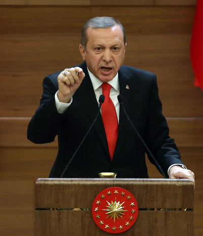 トルコ大統領に「下品な手ぶり」、女性に禁錮1年