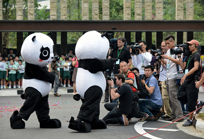 シンガポールにジャイアントパンダ2頭、中国から10年間貸与