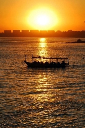 世界の水資源、食糧生産倍増に十分 専門家グループ